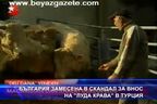 България замесена в скандал за внос на "луда крава" в Турция