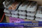 Яйцата в Испания са по-евтини от тези в България