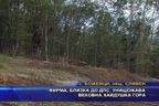 Фирма, близка до ДПС, унищожава вековна хайдушка гора