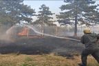 Пожар в боровата гора над Велико Търново