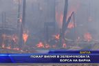 Пожар вилня в зеленчуковата борса на Варна