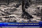 Изгоряха 4 000 декара гора заради цигара