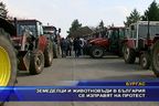 Земеделците и животновъдите в България се изправят на протест