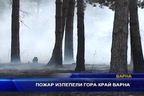  Пожар изпепели гора край Варна