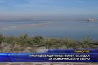  Природозащитници в лют скандал за Поморийското езеро