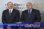  България ще поиска ЕК да размрази проекта “Набуко”