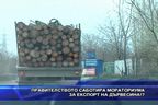 
Правителството саботира мораториума за експорт на дървесина!?