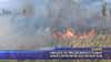 
Умишлено предизвикан пожар край езерото на Долни Богров