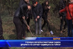Ученици и музейни работници садиха дръвчета по случай „Седмицата на гората“