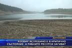 Язовир Ястребино е в критично състояние, а рибните ресурси загиват