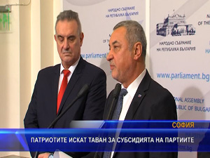 Патриотите искат таван за субсидията на партиите