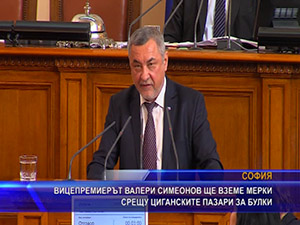 Вицепремиерът Валери Симеонов ще вземе мерки срещу циганските пазари за булки