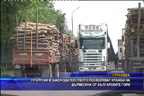 Пропуски в законодателството позволяват кражби на дървесина от българските гори