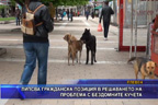 Липсва гражданска позиция в решаването на проблема с бездомните кучета