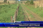 Готова е оградата, спираща навлизането на африканската чума от Румъния (разширен)