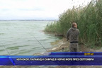 
Чернокоп, паламуд и сафрид в Черно море през септември
