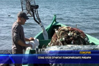 
Слаб улов отчитат поморийските рибари