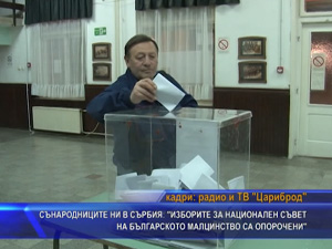 Сънародниците ни в Сърбия: “Изборите за национален съвет на българското малцинство са опорочени“
