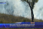 
Над 10 000 проверки в горите в Североизточна България през изминалата година