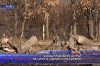 
Масови проверки по горите в Североизточна България