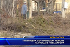 
Поголовна сеч при всеки ремонт на улица в Нова Загора