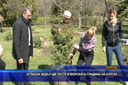 
Атласки кедър ще расте в Морската градина на Бургас