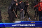 
Ученици и музейни работници садиха дръвчета по случай „Седмицата на гората“