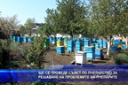 Предстои провеждането на съвет по пчеларство за решаване на проблемите на пчеларите