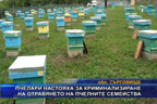 
Пчелари настояха за криминализиране на отравянето на пчелните семейства