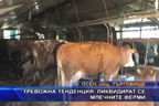 
Тревожна тенденция: Ликвидират се млечните ферми