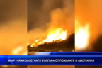 МВнР: Няма засегнати българи от пожарите в Австралия