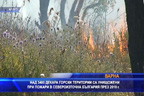 Над 3400 декара гори в Североизточна България са изгорели през 2019 г.